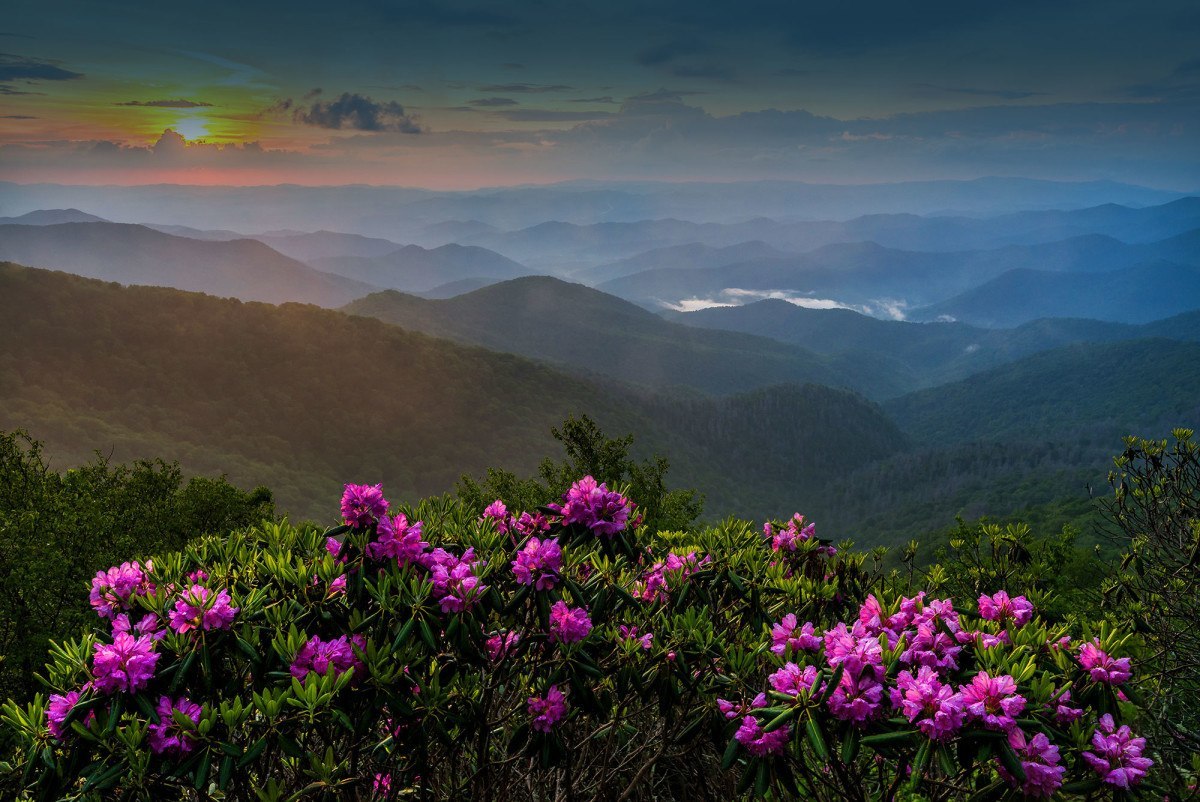 Smoky Mountains in the Spring - Maples Ridge Cabin Rentals