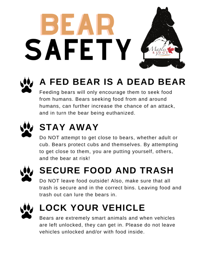 Bear Safety ( Vol. 1 the Key Points) - Maples Ridge Cabin Rentals